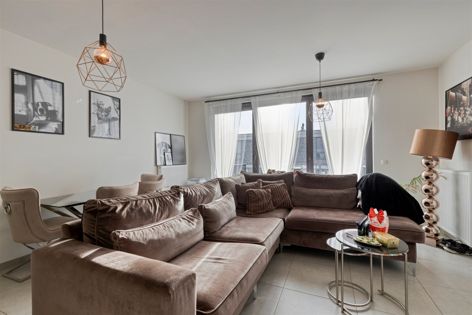 ganzendries22012660Antwerpen-08_highres.jpg