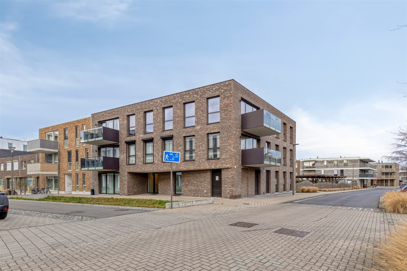 ganzendries22012660Antwerpen-01_highres.jpg