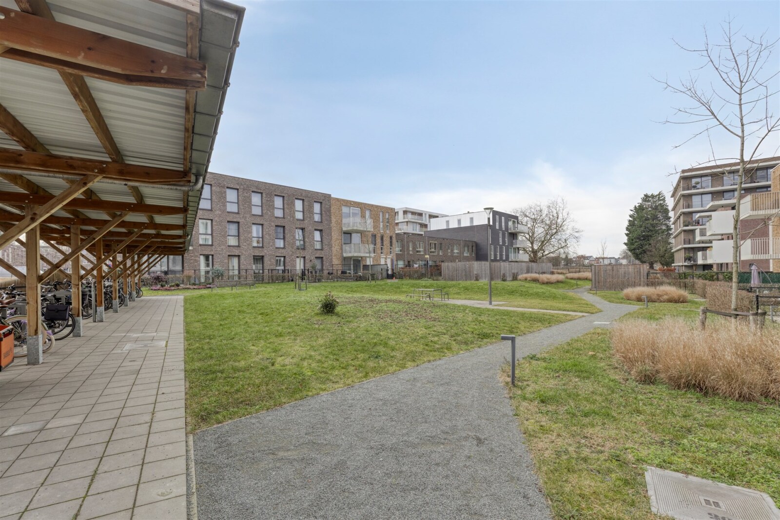 ganzendries22012660Antwerpen-21_highres.jpg
