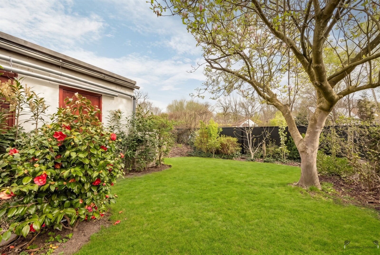 sunny-garden-blooming-spring-trees