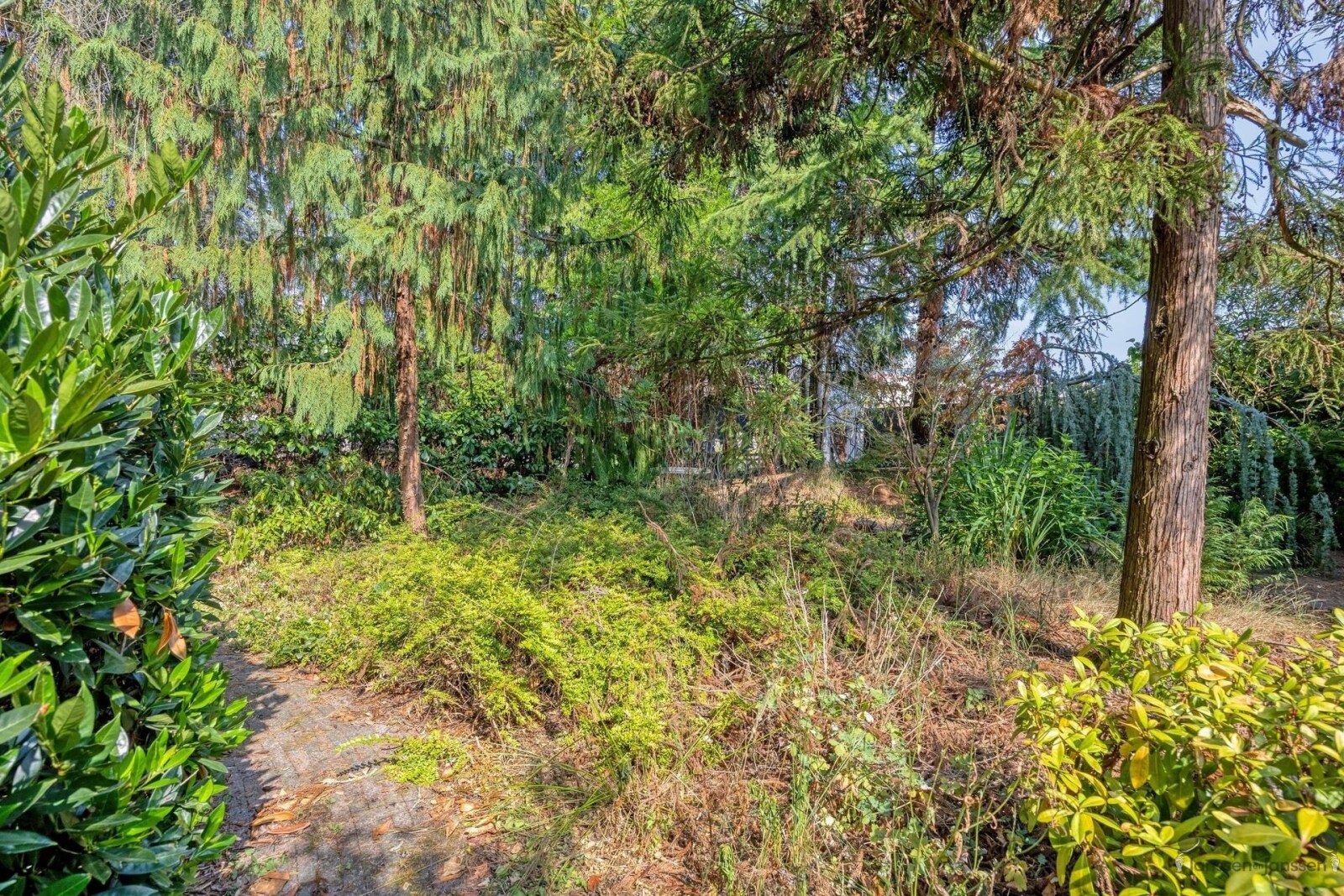 Luikersteenweg3413920Lommel-58_highres.jpg