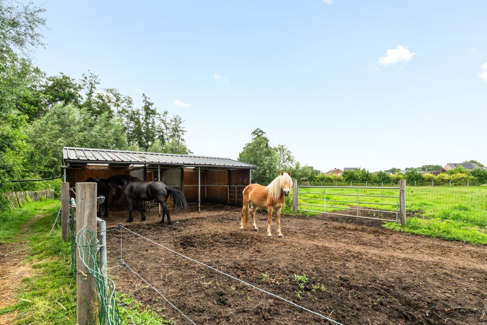 20260630 - SZ - Liersesteenweg 140A, 2220 Heist-op-den-Berg - 37.jpg