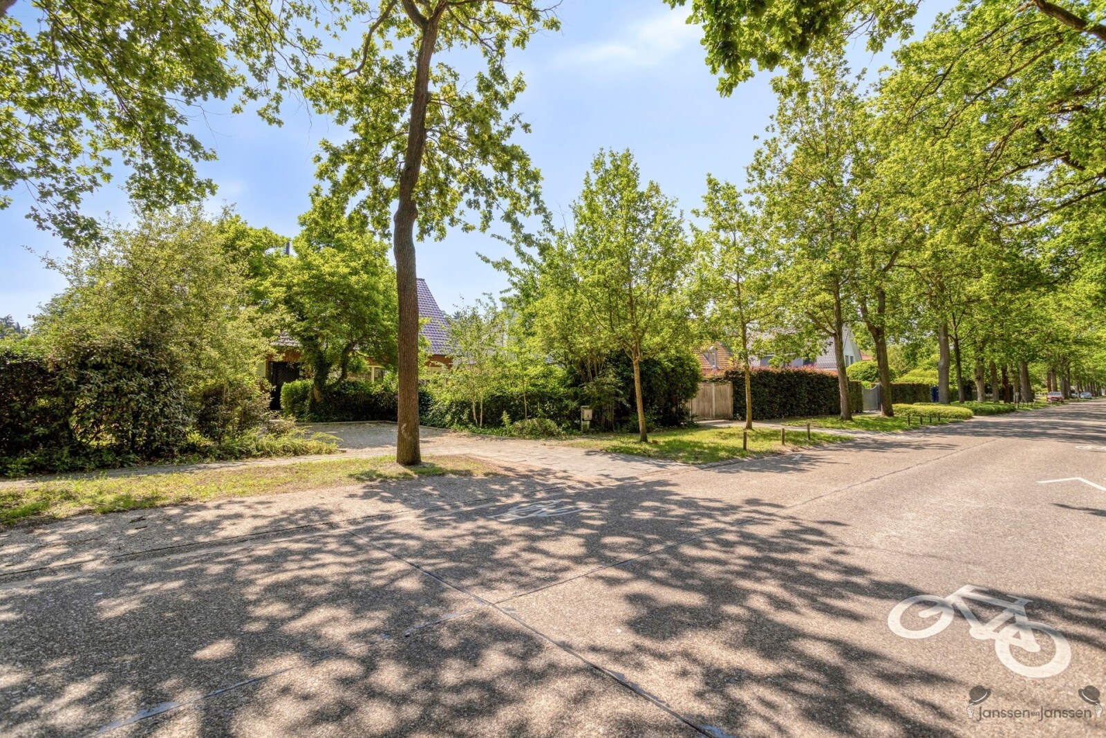Maxhermanlei42930Brasschaat-01_highres.jpg