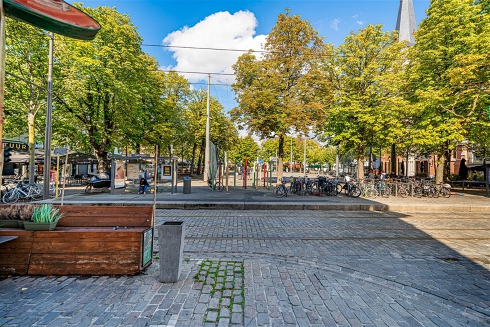 26_dsc06804