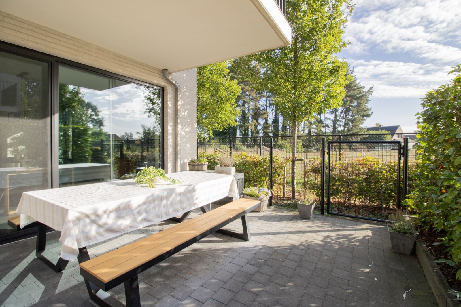 Terras 2.jpg