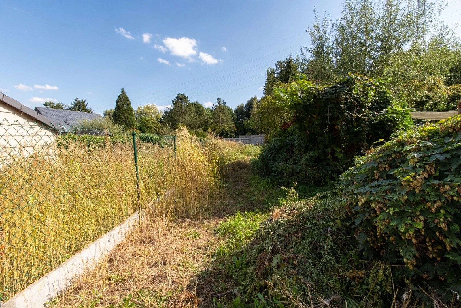 Tuin bijgewerkt