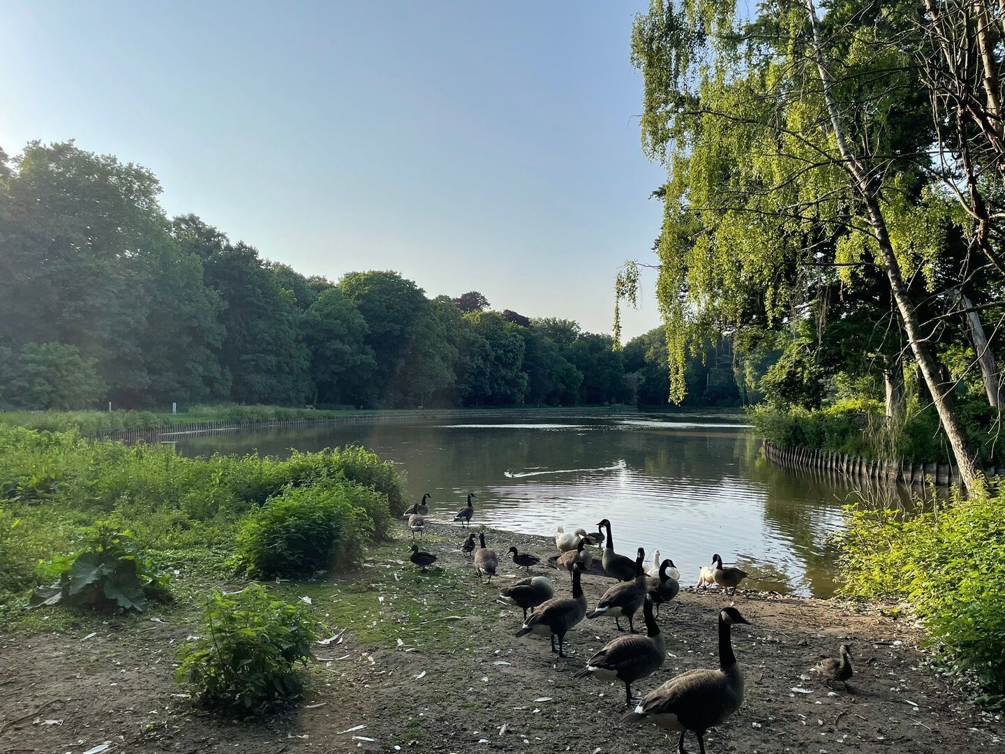 Wonen in Brasschaat: groen, ruimte en verbondenheid voor jong en oud