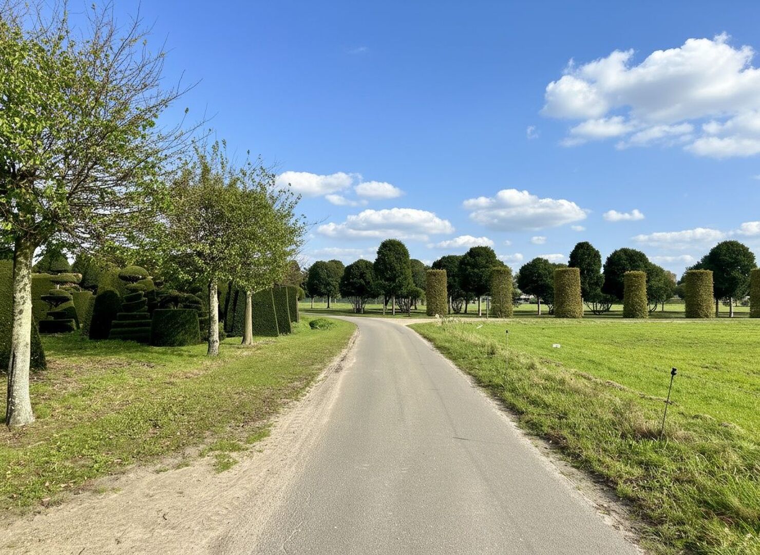 Welke wijken zijn er in Loenhout?